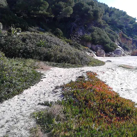 Gran Terraza, Jardin Privado, Piscina, Playa Cercana, Wifi 300mb, Netflix Apartment