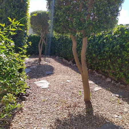 Gran Terraza, Jardin Privado, Piscina, Playa Cercana, Wifi 300mb, Netflix