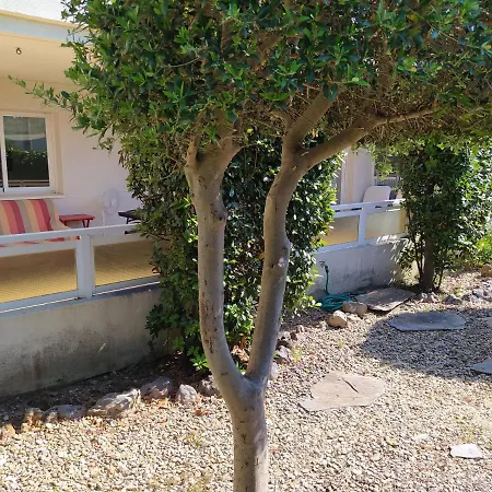 Apartment Gran Terraza, Jardin Privado, Piscina, Playa Cercana, Wifi 300mb, Netflix Tarragona